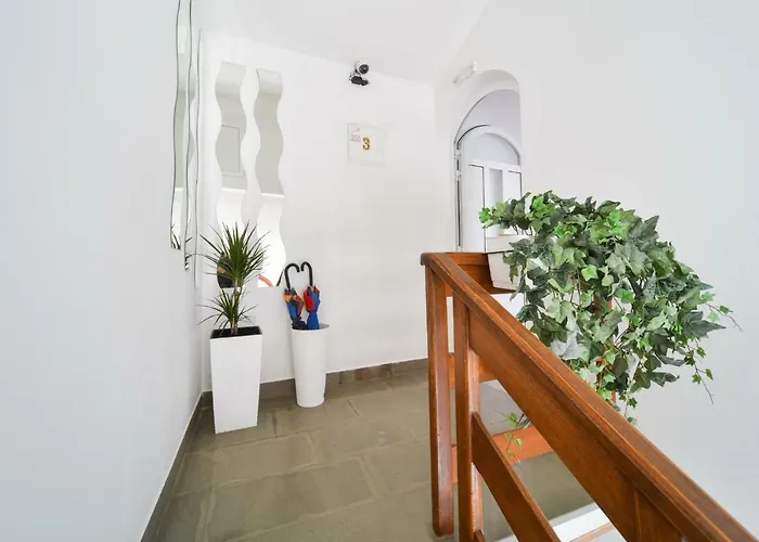 And Nekic 게스트하우스 3*